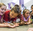 Young animal lovers welcome at summer camp