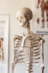 Kinesphere offers Bone Health classes