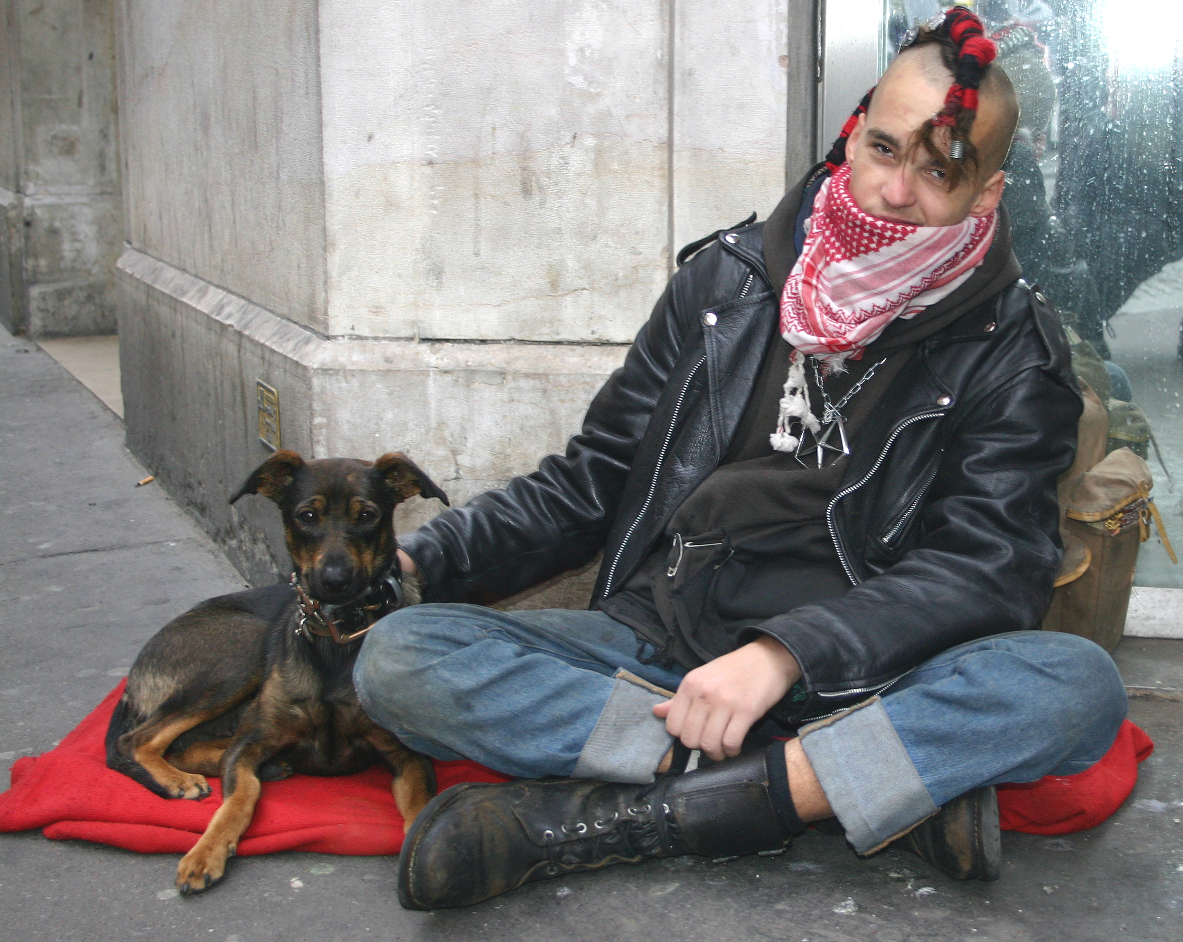 Campaign tackles homeless pet problem