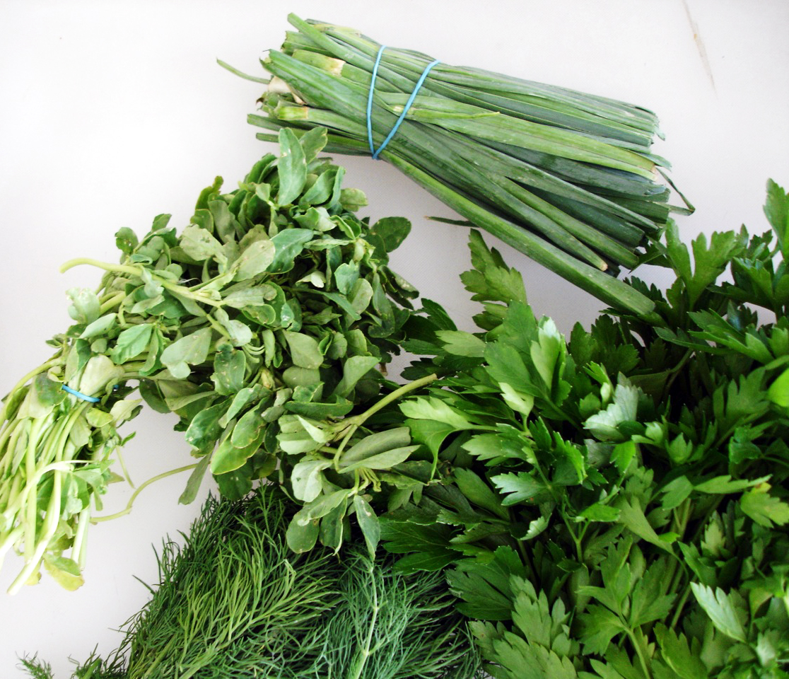 Lunch series offers tips on fresh herbs