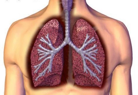 New drugs for lung cancer discussed