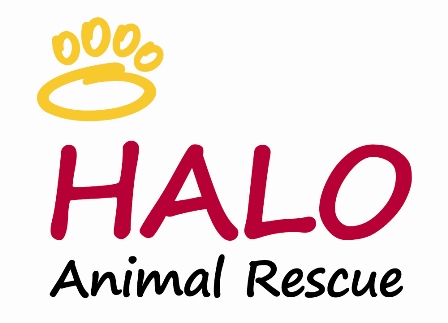 HALO rescue wins adoption challenge