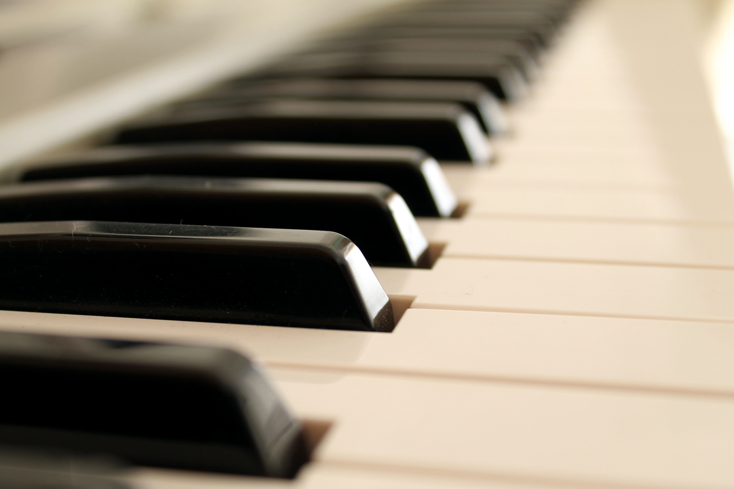 Piano lessons begin in January