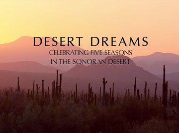 Desert Dreams poster