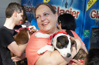 Scarlett Thompson cuddles with her newly adopted pit bull puppy during a special Valentine’s Day adoption event held by the Arizona Humane Society and hosted by the Safeway store at 7th Street and Glendale Avenue (photo by Teri Carnicelli).