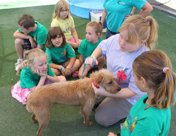 North Central teen Hollie Bowman, a junior camp counselor at the Arizona Animal Welfare League shelter, talks to a group of younger children about how to properly care for their dogs (submitted photo).