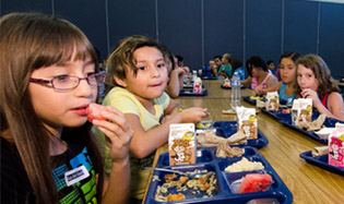 Children in North Central Phoenix whose families are struggling financially can receive free breakfast and lunch this summer as several public locations, including libraries and school cafeterias (photo courtesy of the USDA).