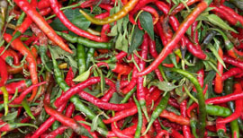 Chile Pepper Fest has new location