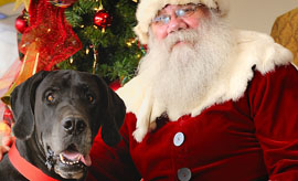 Have your pooch pose with Santa