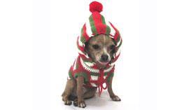 Ugly sweaters highlight adoption event Dec. 3