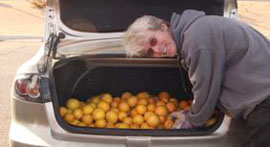 Donate your excess citrus to food bank