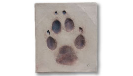Make a custom paw print tile