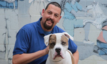 The Arizona Humane Society’s Rick Gonzales has assumed the role of head trainer for the nonprofit’s new public dog training classes. Gonzales has worked with shelter dogs for years, including Hodor, a boxer who is now with a forever family in Peoria (submitted photo).