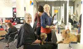 Salon hosts beauty fundraiser for pets