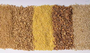 Lean about power of healthful grains
