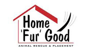 Home Fur Good uses grant for adoptions