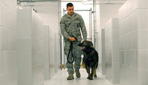 Military families board pets for free