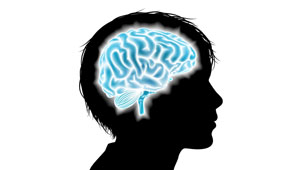Free presentation looks at brain development