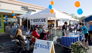 Pets, owners get pampered at event