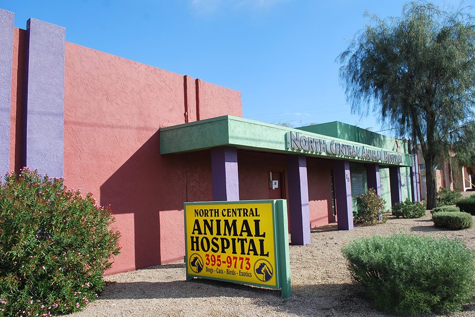 Animal hospital seeks to expand