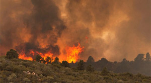 Donate to wildfire relief aid at Bashas’
