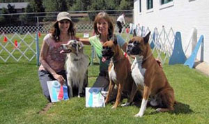 Local dog trainer pet-training services