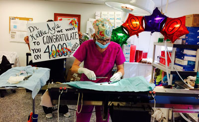 The staff at the Barnhart Clinic, 950 W. Hatcher Road in Sunnyslope, helped Dr. Kellie Ayle celebrate her 4,000th spay/neuter surgery with balloons, congratulatory signs, and cake (submitted photo).