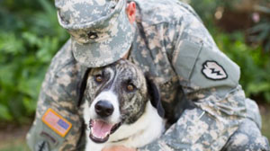 Foster homes sought for pets of deployed military