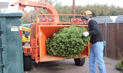 Many options to recycle your tree