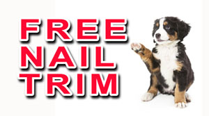 Free nail trim at Puff & Fluff