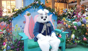 Free photos with Easter Bunny