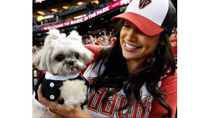 Adopt a dog and take in a game on Aug. 14