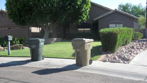 City looks to divert ‘green’ yard waste