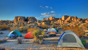 Take family on a camping trip