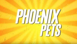 City YouTube channel features Phoenix Pets