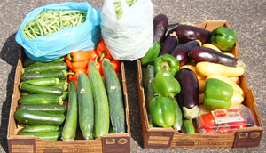 Get 70 pounds of produce for $12