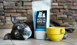‘Rescue Brew’ coffee aids shelter animals