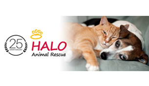 HALO Animal Rescue receives honor