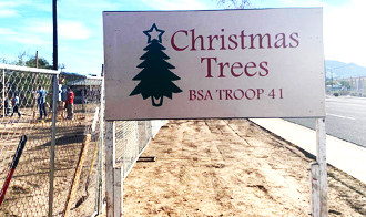 Boy Scouts selling holiday trees