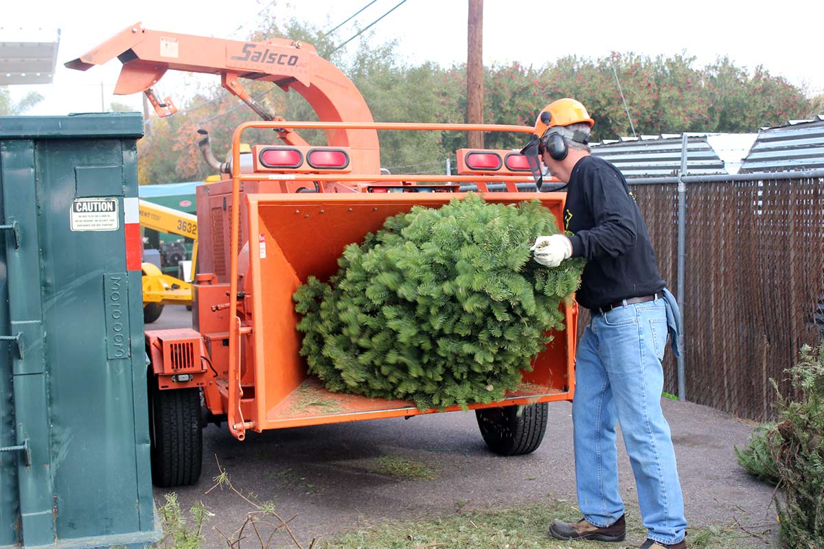 City Christmas tree and wreath recycling program begins Dec. 26