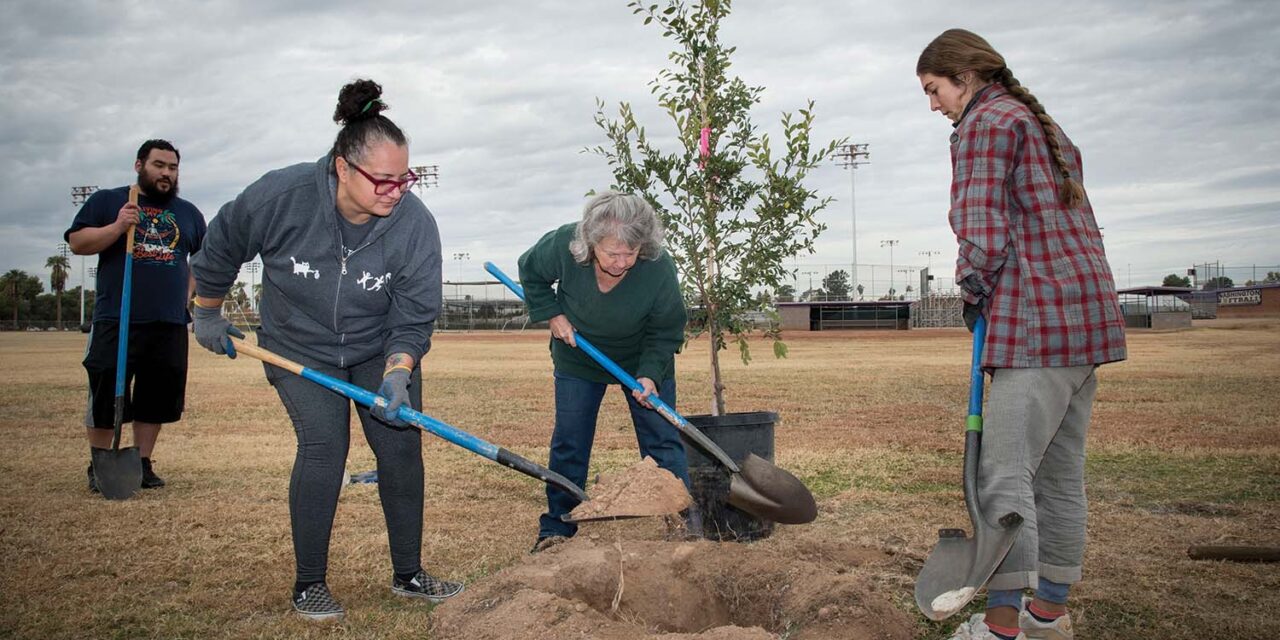 Project gives schools a ‘green’ boost