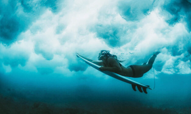 He‘e Nalu — The Art and Legacy of Hawaiian Surfing