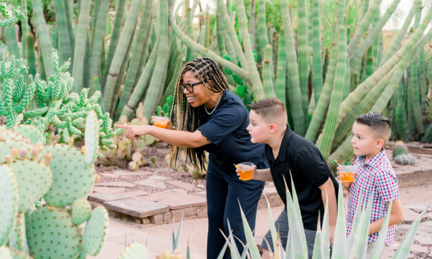 Sonoran Sippin’