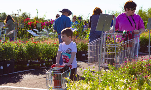 Fall Plant Sale
