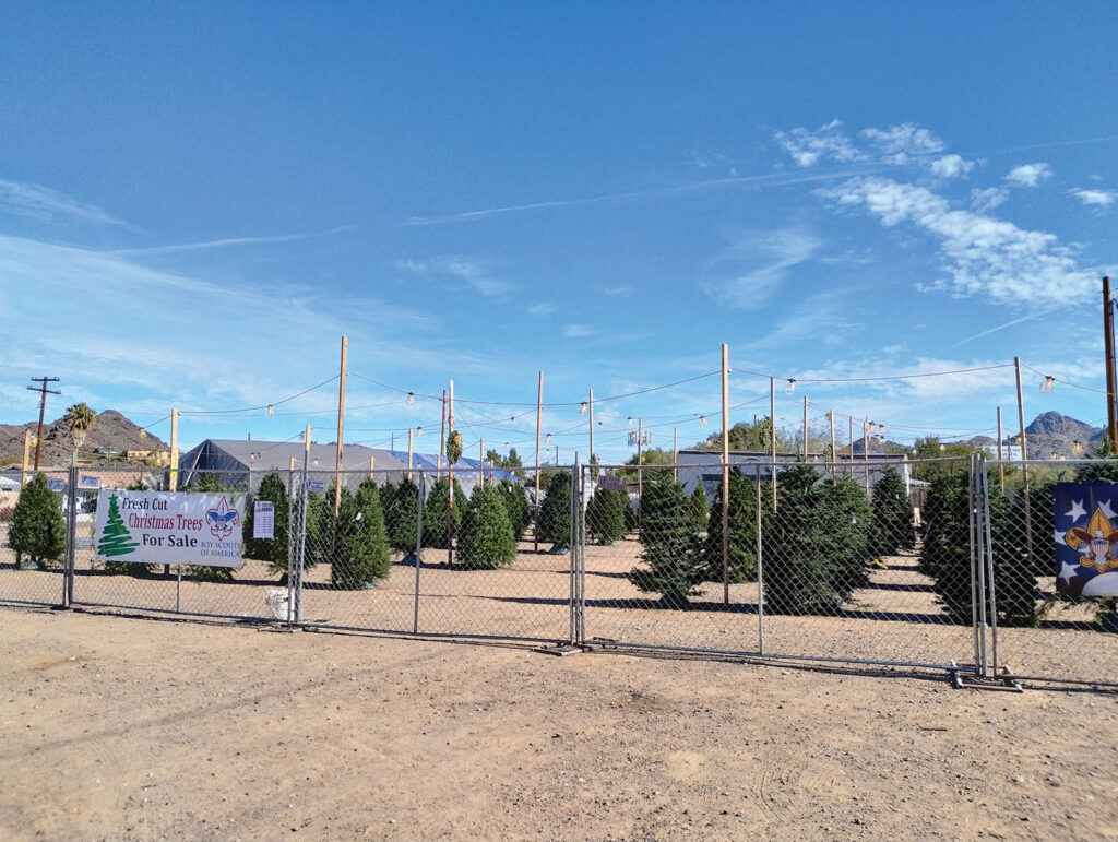 Scouts host Christmas tree lot North Central News
