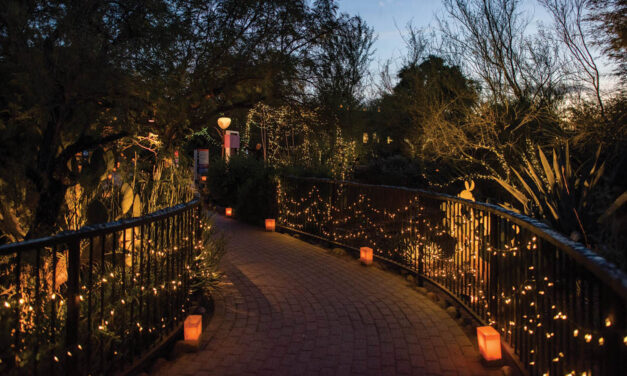 Las Noches de las Luminarias