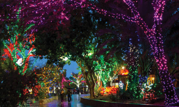 ZooLights