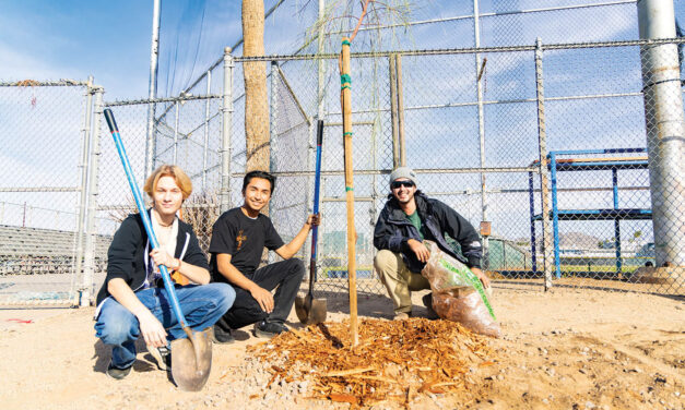 Camelback students add to tree canopy