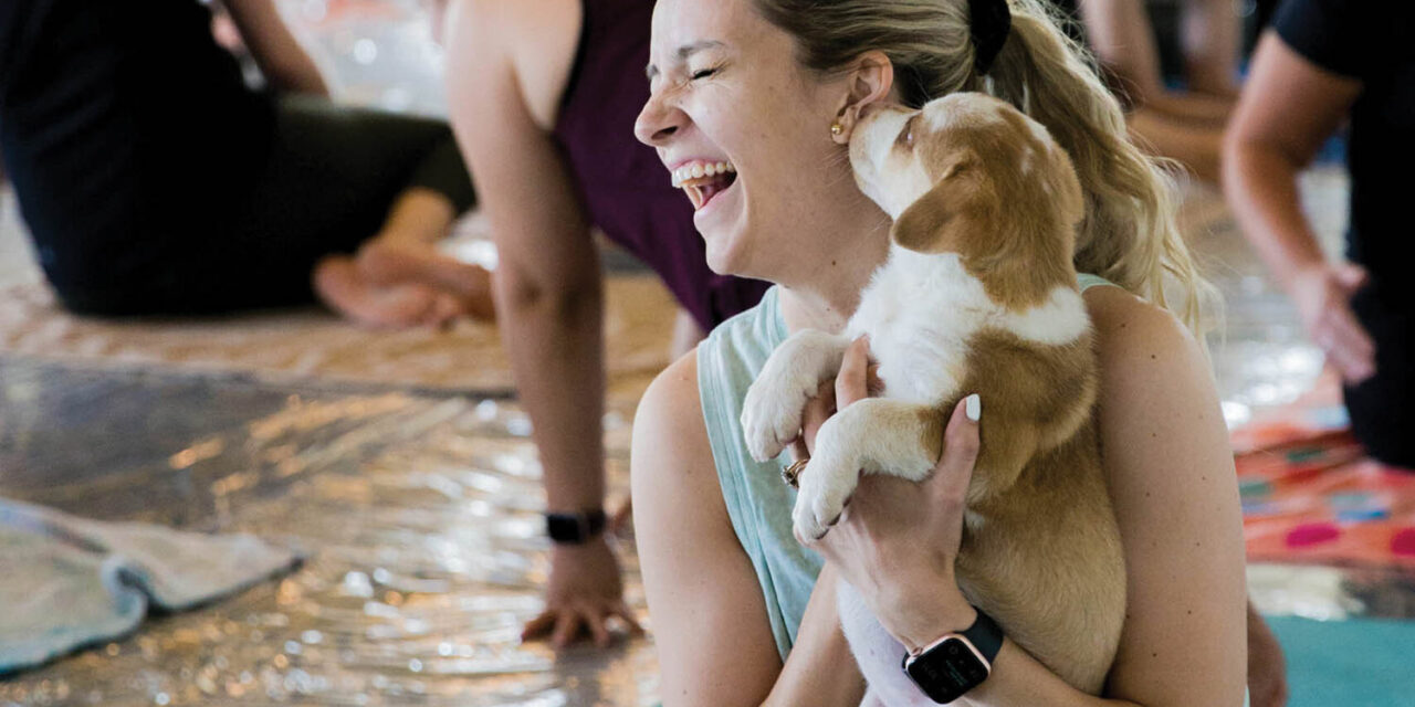Enjoy puppy yoga at rescue