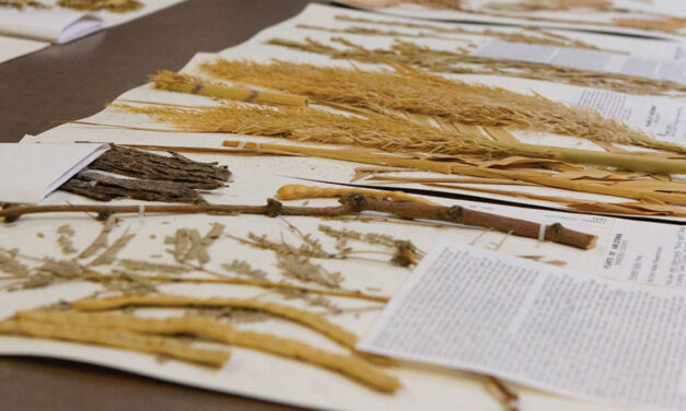 Herbarium Tour